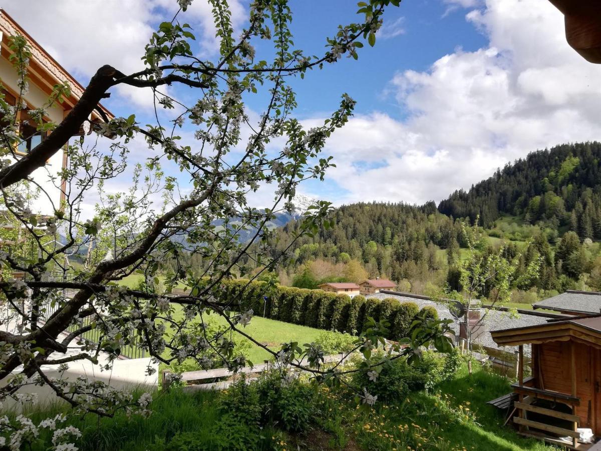 Wood Apartments By Trendlbrugger Going am Wilden Kaiser 외부 사진